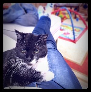 Meet your Posher, Jen